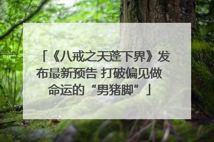 《八戒之天蓬下界》发布最新预告 打破偏见做命运的“男猪脚”