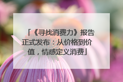《寻找消费力》报告正式发布：从价格到价值，情感定义消费