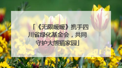 《无限暖暖》携手四川省绿化基金会，共同守护大熊猫家园