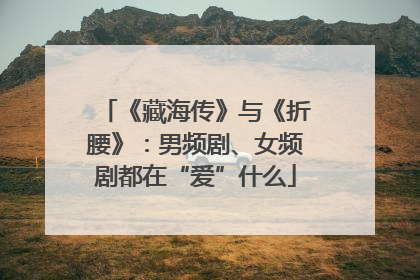 《藏海传》与《折腰》：男频剧、女频剧都在“爱”什么