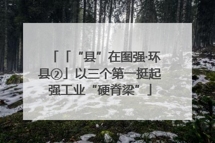 「“县”在图强·环县②」以三个第一挺起强工业“硬脊梁”
