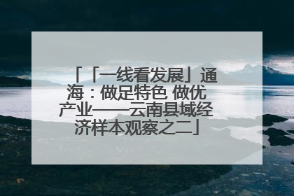 「一线看发展」通海：做足特色 做优产业——云南县域经济样本观察之二