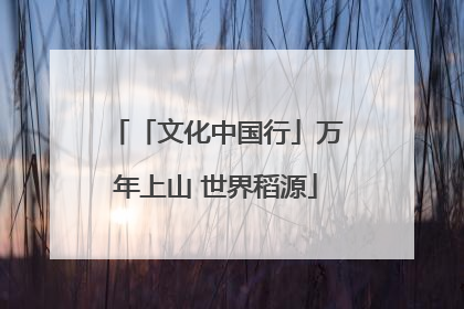 「文化中国行」万年上山 世界稻源