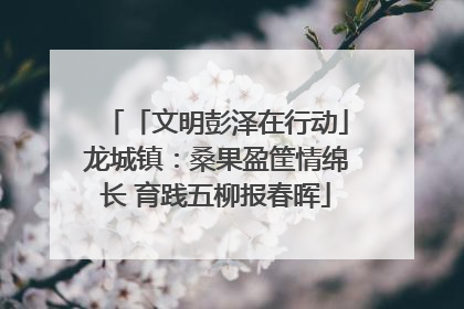 「文明彭泽在行动」龙城镇：桑果盈筐情绵长 育践五柳报春晖