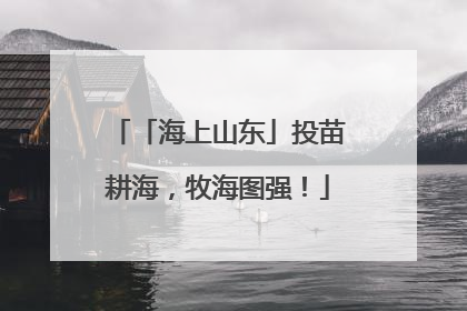 「海上山东」投苗耕海，牧海图强！