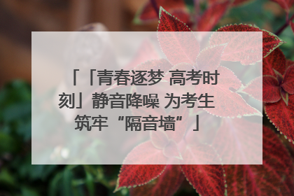 「青春逐梦 高考时刻」静音降噪 为考生筑牢“隔音墙”