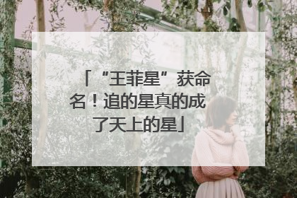 “王菲星”获命名！追的星真的成了天上的星