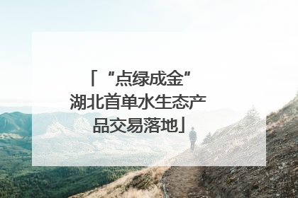 “点绿成金” 湖北首单水生态产品交易落地