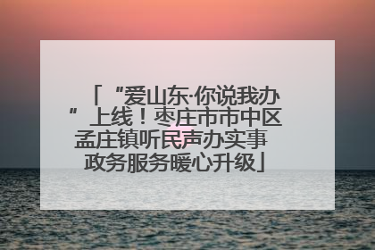 “爱山东·你说我办”上线！枣庄市市中区孟庄镇听民声办实事 政务服务暖心升级