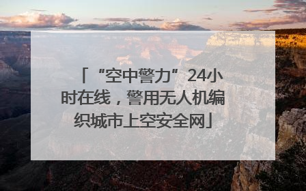“空中警力”24小时在线，警用无人机编织城市上空安全网