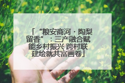 “粮安商河・陶梨留香”：三产融合赋能乡村振兴 跨村联建绘就共富画卷