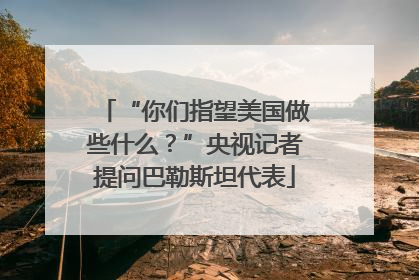 “你们指望美国做些什么？”央视记者提问巴勒斯坦代表