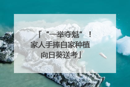 “一举夺魁”！家人手捧自家种植向日葵送考