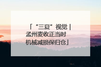 “三夏”视觉｜孟州麦收正当时 机械减损保归仓