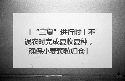 “三夏”进行时丨不误农时完成夏收夏种，确保小麦颗粒归仓