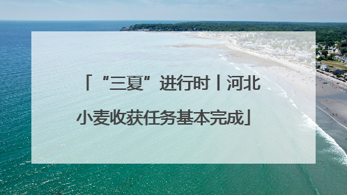 “三夏”进行时丨河北小麦收获任务基本完成
