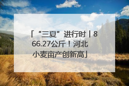 “三夏”进行时丨866.27公斤！河北小麦亩产创新高