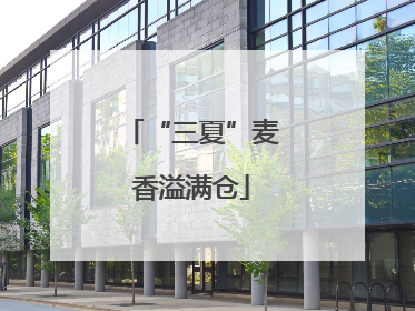 “三夏”麦香溢满仓