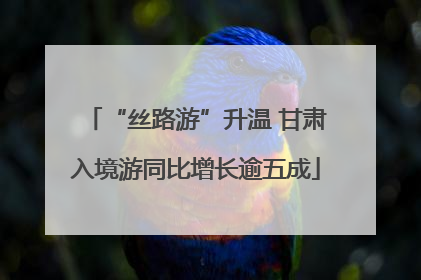 “丝路游”升温 甘肃入境游同比增长逾五成