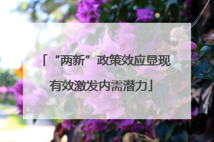 “两新”政策效应显现 有效激发内需潜力