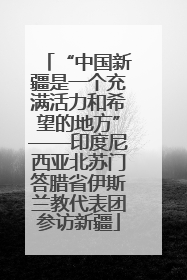 “中国新疆是一个充满活力和希望的地方”——印度尼西亚北苏门答腊省伊斯兰教代表团参访新疆
