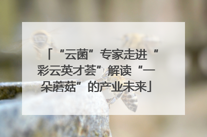 “云菌”专家走进“彩云英才荟”解读“一朵蘑菇”的产业未来
