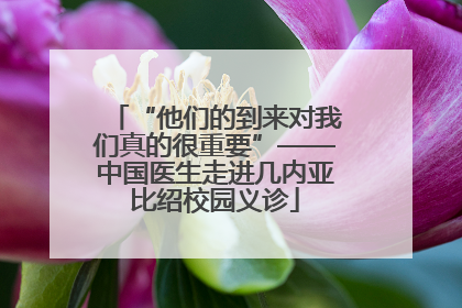 “他们的到来对我们真的很重要”——中国医生走进几内亚比绍校园义诊