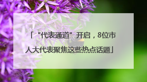 “代表通道”开启，8位市人大代表聚焦这些热点话题