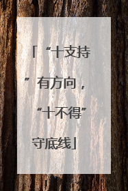 “十支持”有方向，“十不得”守底线