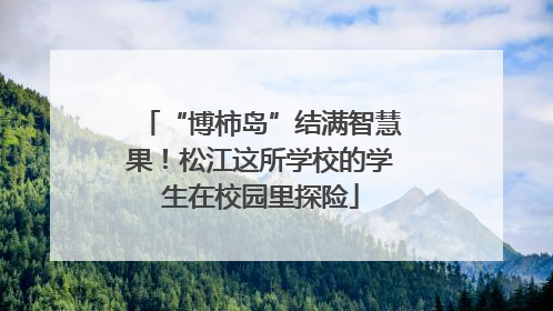 “博柿岛”结满智慧果！松江这所学校的学生在校园里探险