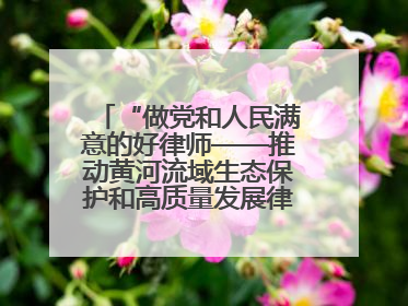 “做党和人民满意的好律师——推动黄河流域生态保护和高质量发展律师行（德州站）”活动成功举办
