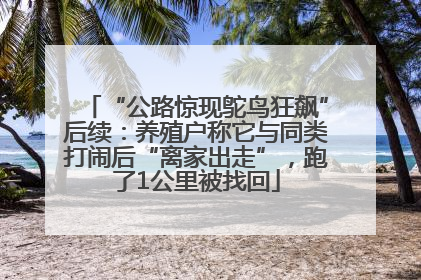 “公路惊现鸵鸟狂飙”后续：养殖户称它与同类打闹后“离家出走”，跑了1公里被找回