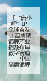 “唐小鲤”IP全球首发！高唐携锦鲤产业指数布局数字赛道——中国高唐锦鲤产业指数暨“唐小鲤”IP全球首发仪式在杭州举行