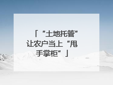 “土地托管”让农户当上“甩手掌柜”