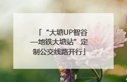 “大塘UP智谷—地铁大塘站”定制公交线路开行