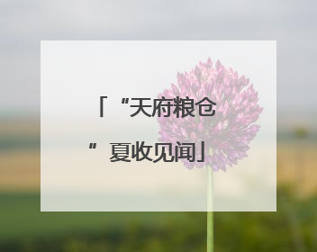 “天府粮仓”夏收见闻