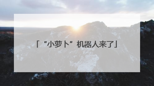 “小萝卜”机器人来了