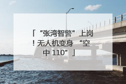 “张湾智警”上岗！无人机变身 “空中 110”
