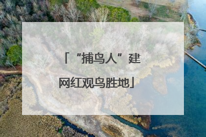 “捕鸟人”建网红观鸟胜地