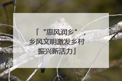 “惠风润乡”，乡风文明激发乡村振兴新活力