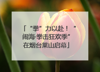 “拳”力以赴！“闹海·拳击狂欢季”在烟台莱山启幕