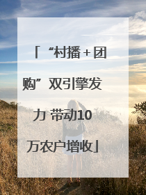“村播＋团购”双引擎发力 带动10万农户增收