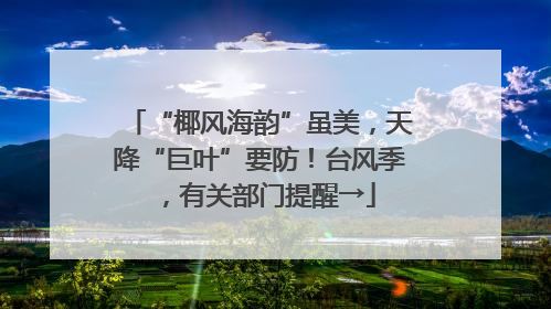 “椰风海韵”虽美，天降“巨叶”要防！台风季，有关部门提醒→