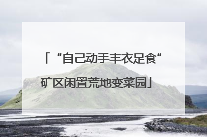 “自己动手丰衣足食”矿区闲置荒地变菜园