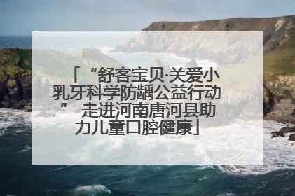“舒客宝贝·关爱小乳牙科学防龋公益行动” 走进河南唐河县助力儿童口腔健康