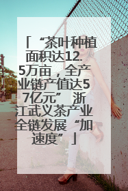 “茶叶种植面积达12.5万亩，全产业链产值达57亿元” 浙江武义茶产业全链发展“加速度”