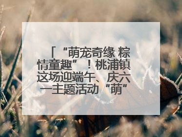 “萌宠奇缘 粽情童趣”！桃浦镇这场迎端午、庆六一主题活动“萌”翻全场～