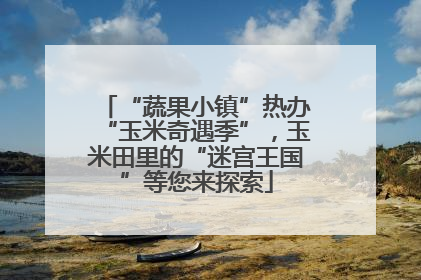“蔬果小镇”热办“玉米奇遇季”，玉米田里的“迷宫王国”等您来探索