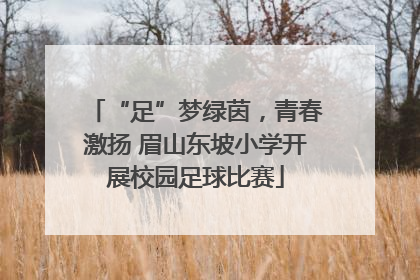 “足”梦绿茵，青春激扬 眉山东坡小学开展校园足球比赛