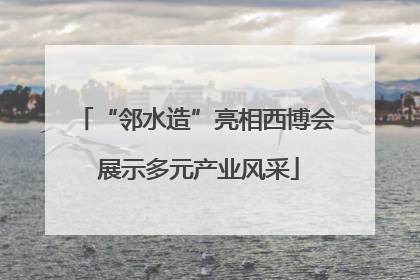 “邻水造”亮相西博会 展示多元产业风采